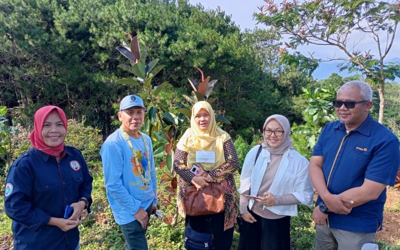 Bumdes Desa Cisantana Sukses Sulap Lahan Bekas Tambang Jadi Kawasan Wisata, Ada Green House dan Jadi Kampus Merdeka